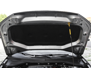 2018280TSI DSG(q)M(jn)ȡ 