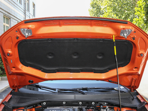 2018230TSI DSG(q)M(jn)ȡ 