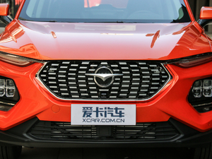 2019款1.6T 运动版 中网