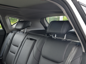 2019230T Ԅ(lin)Ş g