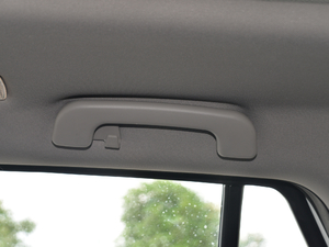 2019230T Ԅ(lin)Ş g