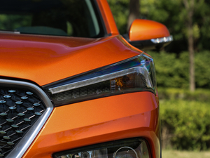 2019230T Ԅ(lin)Ş (x)(ji)^