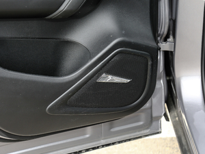 20201.6TGDI ԄӾӢ g