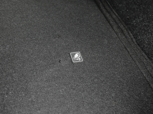 20201.6TGDI ԄӾӢ g