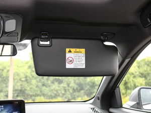 20201.6TGDI ԄӾӢ g