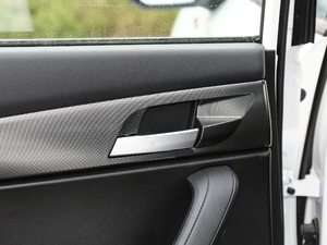 20201.6TGDI Ԅ(dng)A g