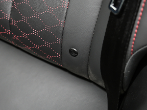 20201.6TGDI Ԅ(dng)A g