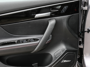 20201.6TGDI քӾӢ g