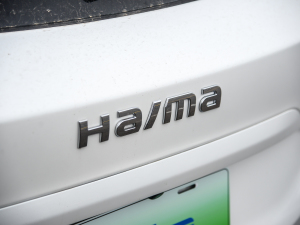 2021款1.2T PHEV 长续航豪华型 细节外观
