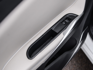 20211.2T PHEV Lm(x)A g