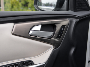 20211.2T PHEV Lm(x)A g