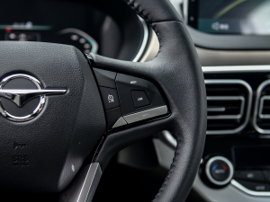 20211.2T PHEV LmA п؅^