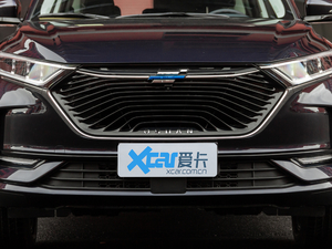 2020款1.5T 自动尊贵型 中网