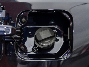 20201.5T ԄF (x)(ji)^