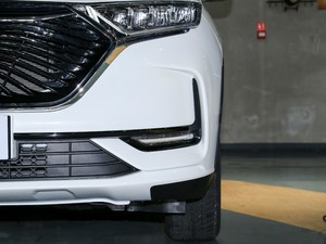 2020款1.5T 自动精英型 前雾灯