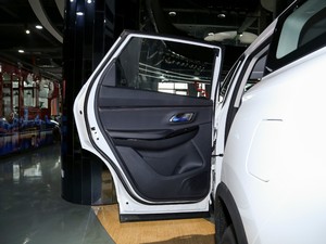 2020款1.5T 自动精英型 左后车门