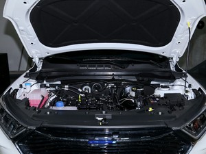 2020款1.5T 自动精英型 发动机