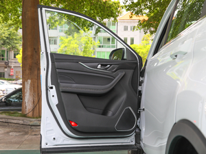 20202.0T Ԅ(dng) 7 g