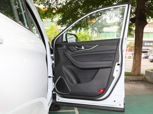 20202.0T Ԅ(dng) 7 g