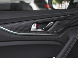 20202.0T Ԅ(dng) 7 g