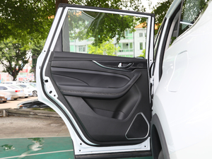 20202.0T Ԅ(dng) 7 g