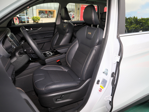 20202.0T Ԅ(dng) 7 g