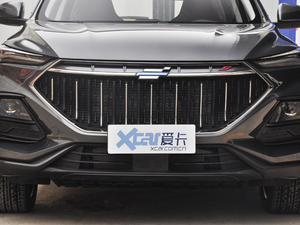 2021款1.5T DCT尊贵型 中网