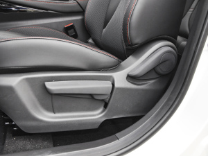 20211.5T DCTA {{(dio)(ji)