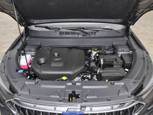 2021款1.6L CVT豪华型 其它