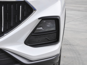 2021款1.6L 手动豪华型 前雾灯