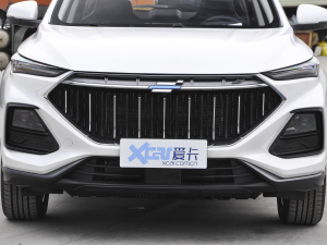 2021款1.6L 手动豪华型 中网