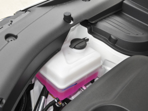 2021款1.6L 手动豪华型 其它