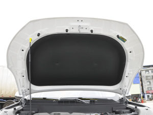 2021款1.6L 手动豪华型 其它