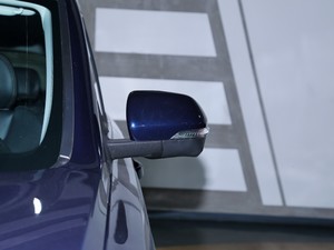 2021款1.5T 自动旗舰型 7座 后视镜