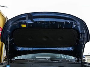 2021款GT 2.0T 自动旗舰型 6座 其它