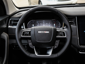2021款GT 2.0T 自动旗舰型 6座 方向盘