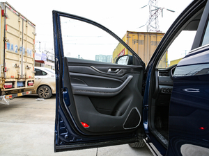 2021GT 2.0T ԄŞ 6 g