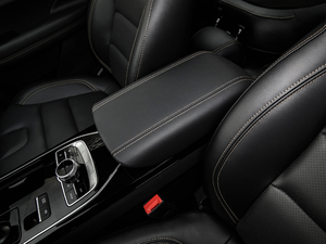 2021GT 2.0T Ԅ(dng)Ş 6 