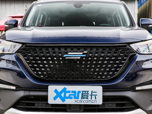 2021款GT 2.0T 自动旗舰型 6座 中网