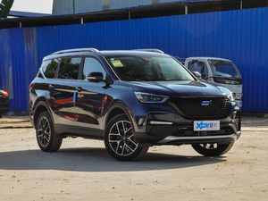 2021GT 2.0T ԄI 6 w^