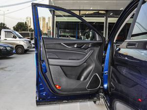 2021款GT 2.0T 自动领航型 6座 驾驶位车门