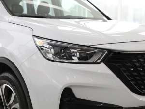 20211.5T քŞ 7 (ji)^