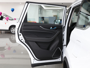 2021款1.5T 手动旗舰型 7座 左后车门