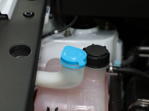 20211.5T ք(dng)Ş 7 