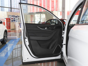 2021款1.5T 自动豪华型 7座 驾驶位车门