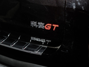2021GT 2.0T Ԅ(dng)I(lng) 7 (x)(ji)^