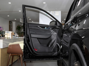 2021款GT 2.0T 自动领航型 7座 驾驶位车门