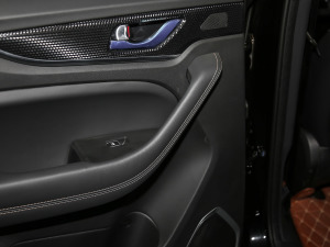 2021GT 2.0T Ԅ(dng)I(lng) 7 g