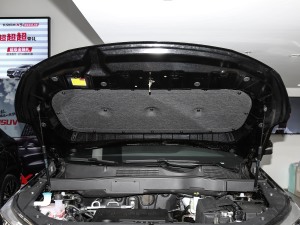 2021款GT 2.0T 自动领航型 7座 其它
