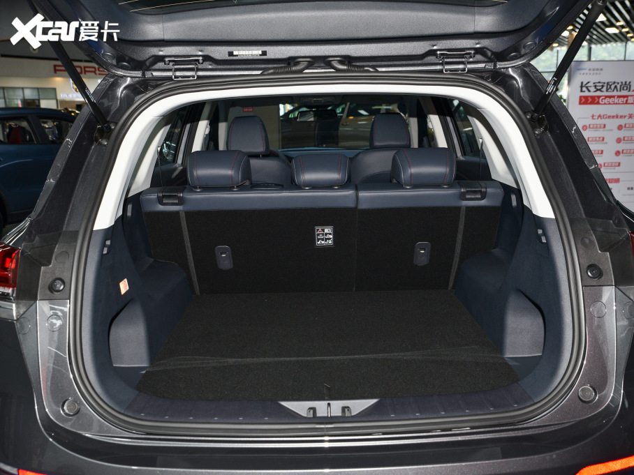 2021LWX7 1.5T ԄGeeker